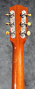 Guitare Regis Sala