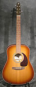 Seagull S6 Burst Glosstop