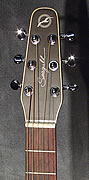 Seagull S6 Entourage Rustique