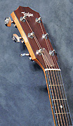 Guitares Taylor