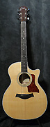 Guitares Taylor