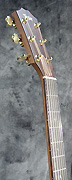 Guitares Taylor