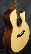Guitares Taylor