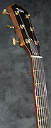 Guitares Taylor