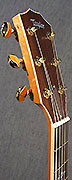 Guitares Taylor