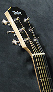 Guitares Taylor