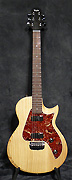 Guitares Taylor