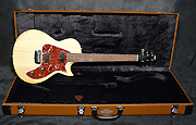 Guitares Taylor