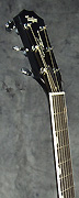Guitares Taylor