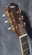 Guitares Taylor
