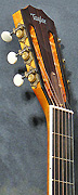 Guitares Taylor