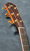 Guitares Taylor