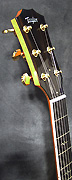 Guitares Taylor