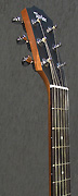 Guitares Taylor