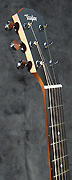 Guitares Taylor