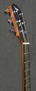 Guitares Taylor