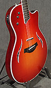 Guitares Taylor