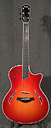 Guitares Taylor