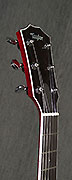 Guitares Taylor