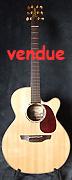 Takamine EAN 46 C
