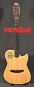 Godin Multiac