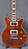 Gibson Les Paul DC Pro