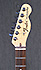 Fender Telecaster American Standard Ltd Micros Lollar