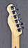 Fender Telecaster American Standard Ltd Micros Lollar