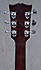 Gibson SG T