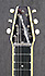 Fender Lapsteel Champion annees 50