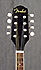 Fender Mandoline