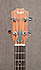 Taylor GS Mini Bass
