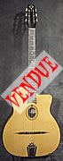 gitane DG 255 d'occasion