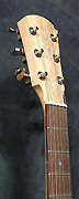 Guitares Cole Clark