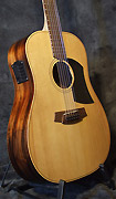 Guitares Cole Clark