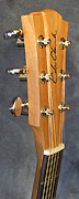 Guitares Cole Clark