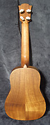 Guitares Cole Clark