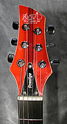 David Custom Shop