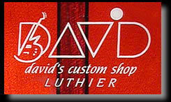David Custom Shop
