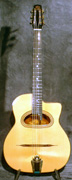 Guitares ALD