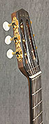 Guitare Alves de Puga