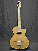 Guitares Anyhony Viste