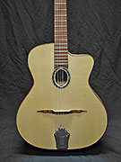 Guitares Anyhony Viste