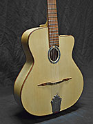 Guitares Anyhony Viste