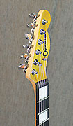 Charvel Guitars