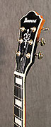 Ibanez AS93FML-VLS