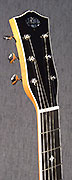 Guitare Larson