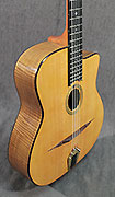 Guitares Olivier Marin