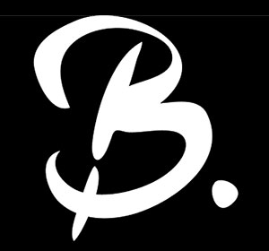 Remi Petiteau Luthier