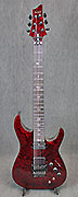 Guitares Schecter